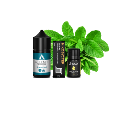 Набор для самозамеса Alchemist Salt Spearmint (Мята) 50 мг 30 мл