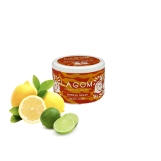 Табак Lagom Main Citrus Sour (Кислые Цитрусы) 40 г
