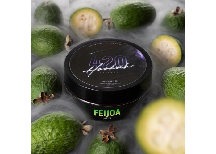 Купить Табак 4:20 Feijoa (Фейхоа, 25 г) Купить Табак 4:20 Feijoa (Фейхоа, 25 г)