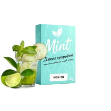 Кальянная смесь Mint Мохито 50 г